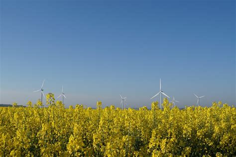 Tallolie en Biobrandstoffen: Een Duurzame Toekomst Voor de Industrie?